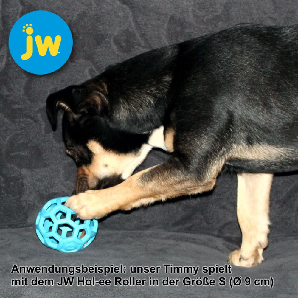 JW Hol-ee Roller Ball - Gitterball - Hundespiel Kauspielzeug Snackball Gummiball