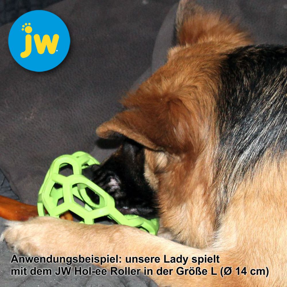 JW Hol-ee Roller Ball - Gitterball - Hundespiel Kauspielzeug Snackball Gummiball