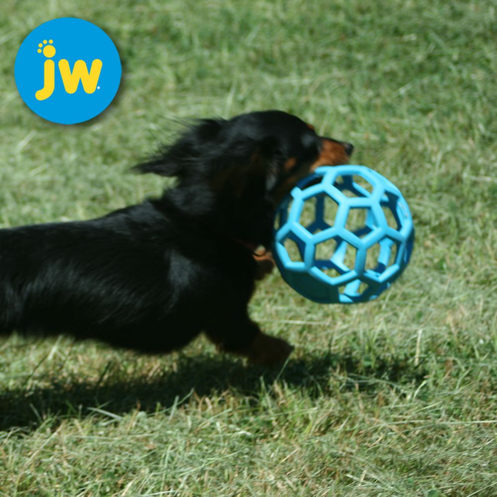 JW Hol-ee Roller Ball - Gitterball - Hundespiel Kauspielzeug Snackball Gummiball