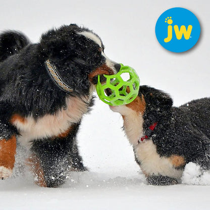 JW Hol-ee Roller Ball - Gitterball - Hundespiel Kauspielzeug Snackball Gummiball