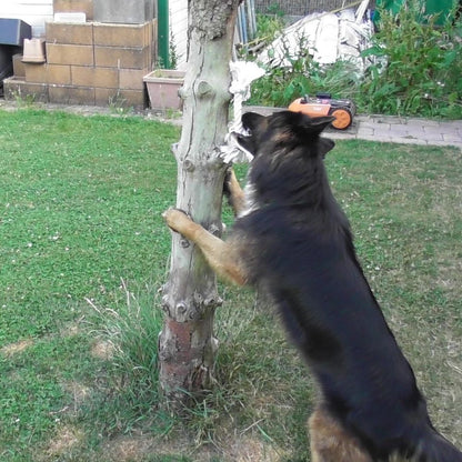 Karlie Knotenseil 30 cm lang - weiß - Baumwoll-Seil Zerrspiel Spielseil Kauseil