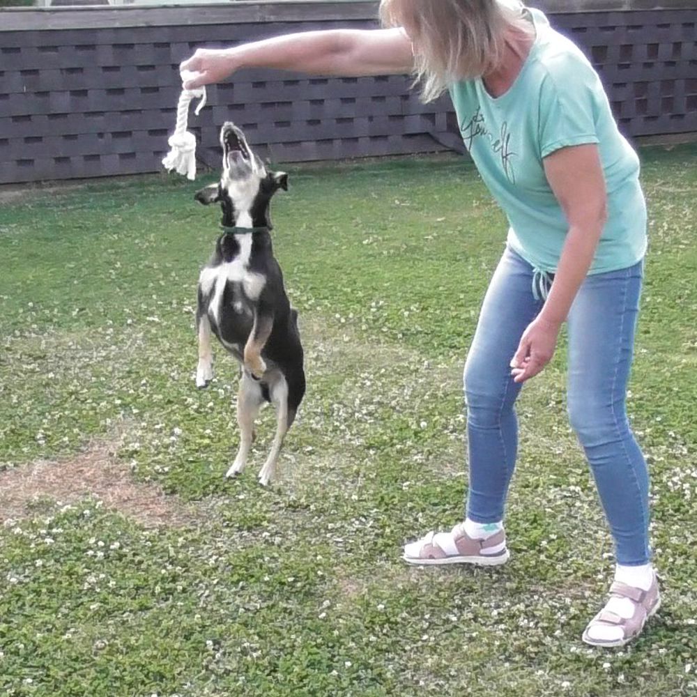 Karlie Knotenseil 30 cm lang - weiß - Baumwoll-Seil Zerrspiel Spielseil Kauseil