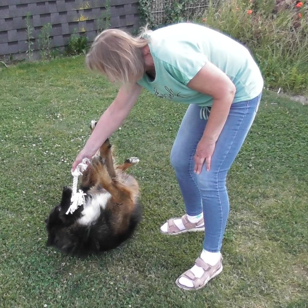 Karlie Knotenseil 30 cm lang - weiß - Baumwoll-Seil Zerrspiel Spielseil Kauseil