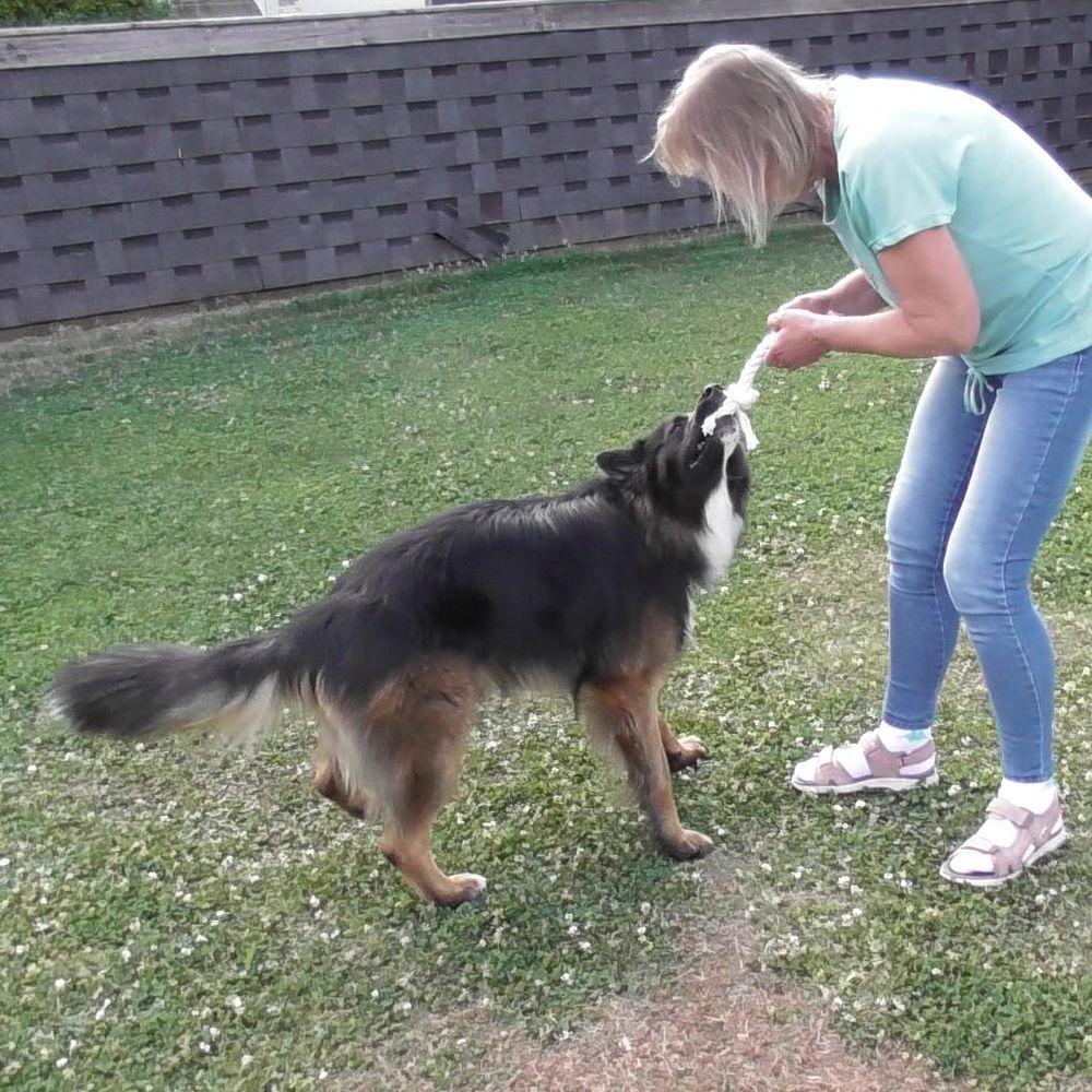 Karlie Knotenseil 30 cm lang - weiß - Baumwoll-Seil Zerrspiel Spielseil Kauseil