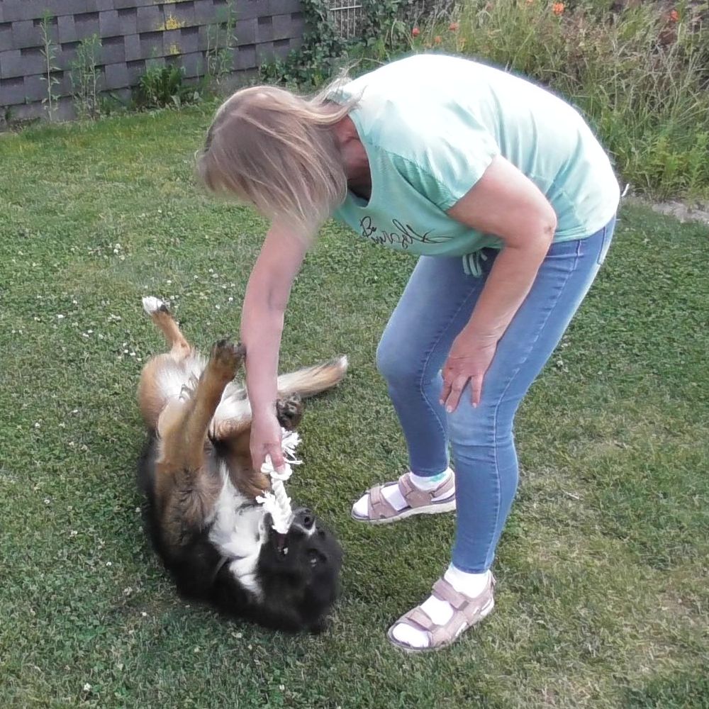 Karlie Knotenseil 30 cm lang - weiß - Baumwoll-Seil Zerrspiel Spielseil Kauseil