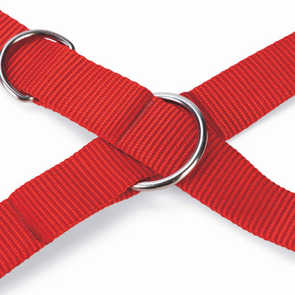 Karlie Führleine ART SPORTIV PLUS - rot - 250 cm - 25 mm - Nylon Hundeleine