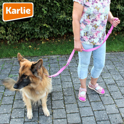 Karlie Führleine ART SPORTIV PLUS - pink - 250 cm - 25 mm - Nylon Hundeleine