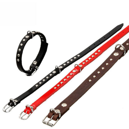 Karlie Leder-Halsband RONDO - Länge 24-47 cm - Vollleder genietet Hundehalsband