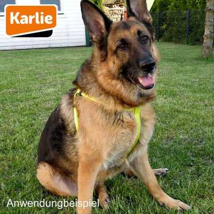Karlie Geschirr ART SPORTIV PLUS - Step & Go Brustgeschirr - Nylon Hundegeschirr
