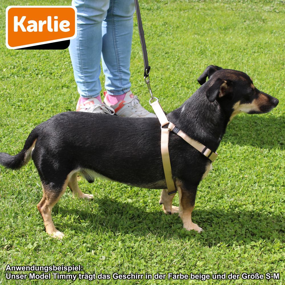Karlie Geschirr ART SPORTIV PLUS - Step & Go Brustgeschirr - Nylon Hundegeschirr