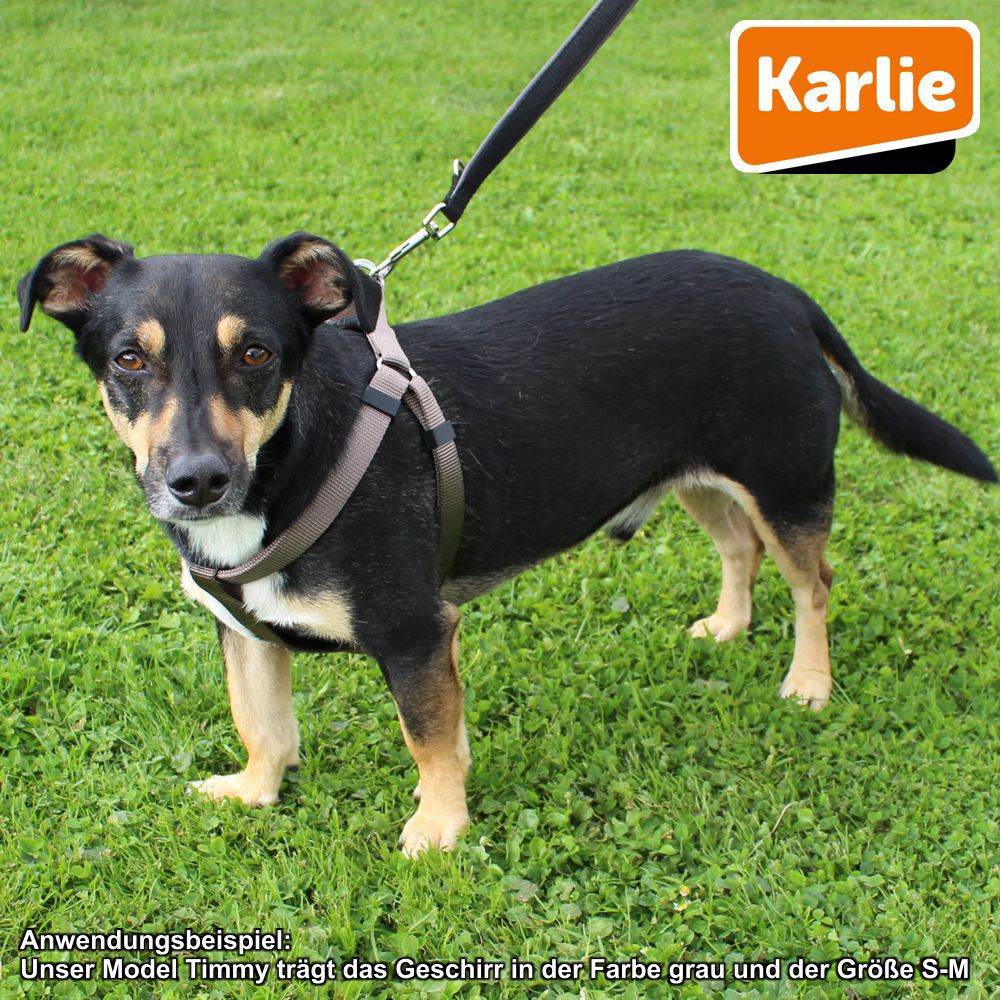 Karlie Geschirr ART SPORTIV PLUS - Step & Go Brustgeschirr - Nylon Hundegeschirr