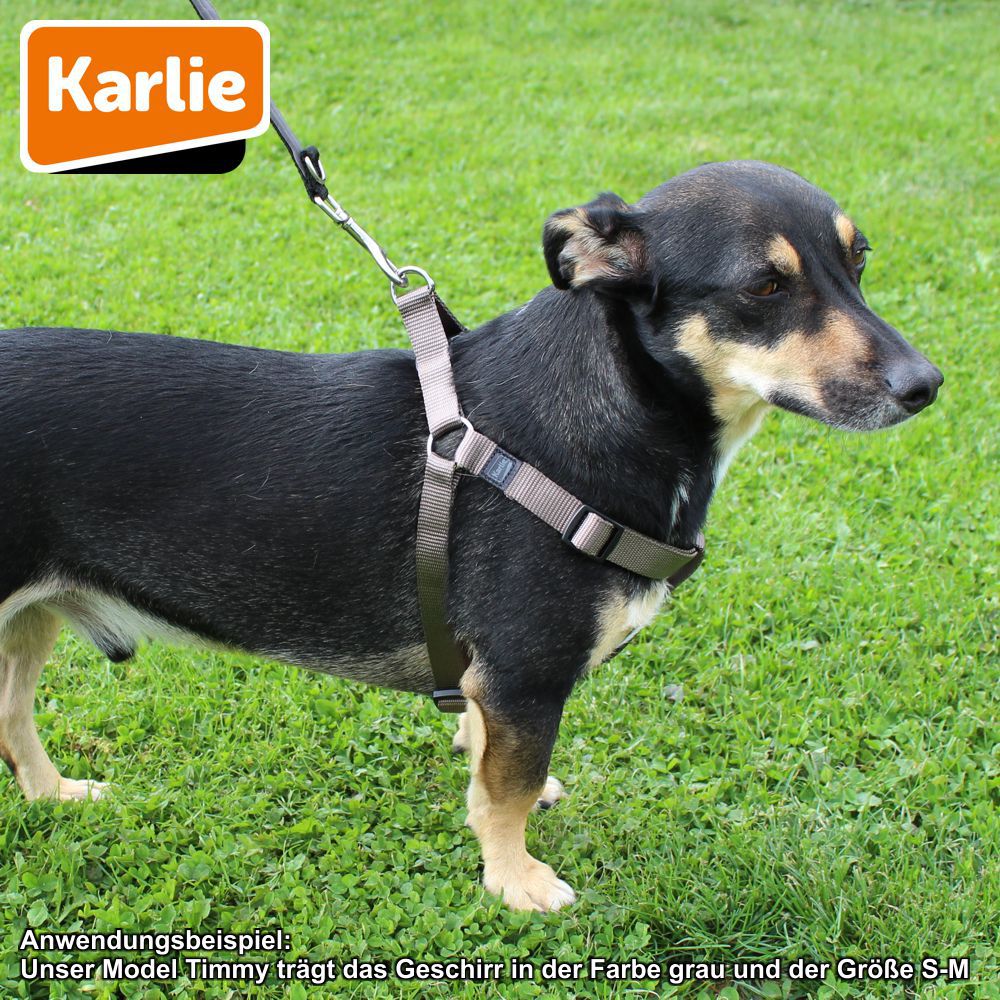 Karlie Geschirr ART SPORTIV PLUS - Step & Go Brustgeschirr - Nylon Hundegeschirr