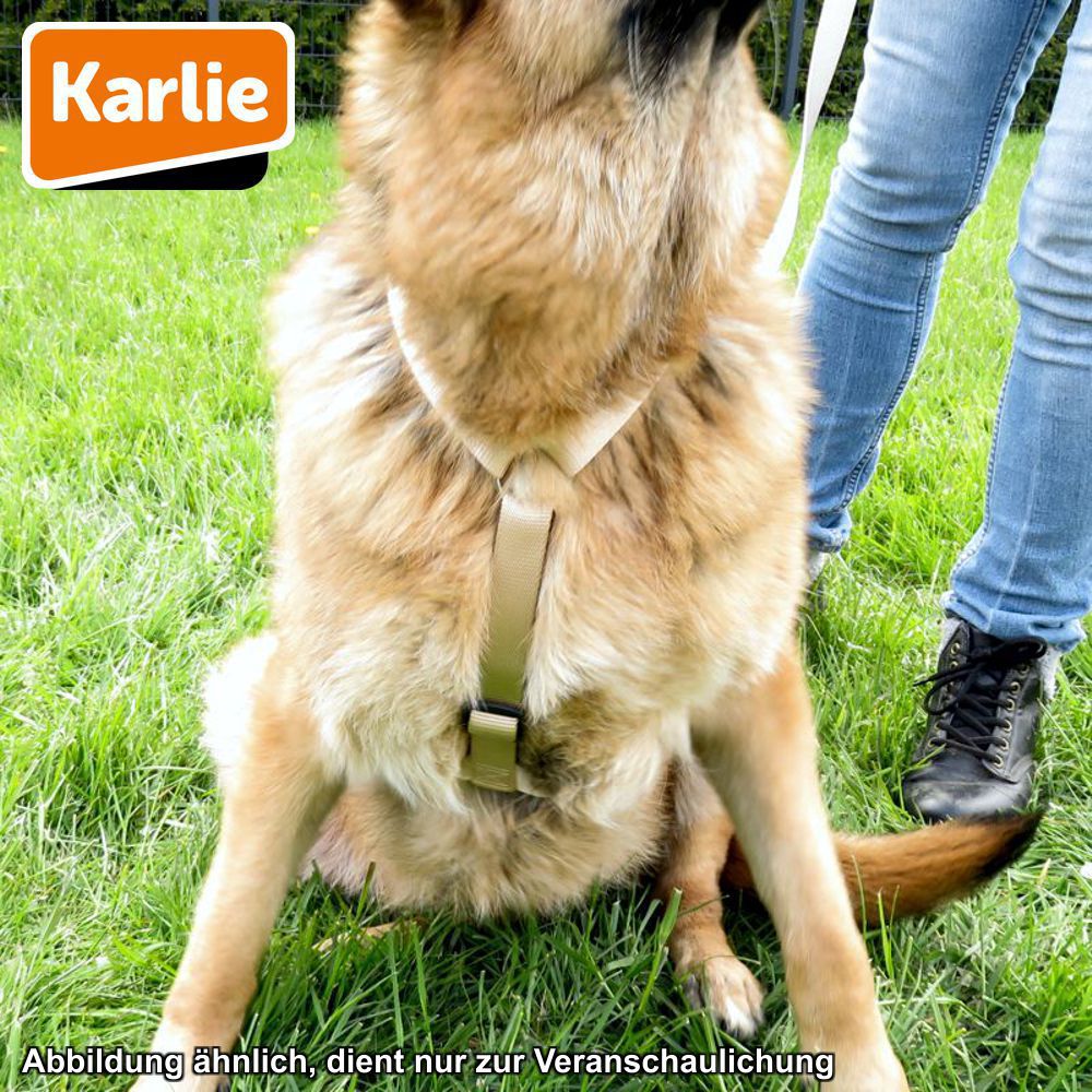 Karlie Geschirr ART SPORTIV PLUS - XS/M/L/XL - Nylon Hundegeschirr Brustgeschirr