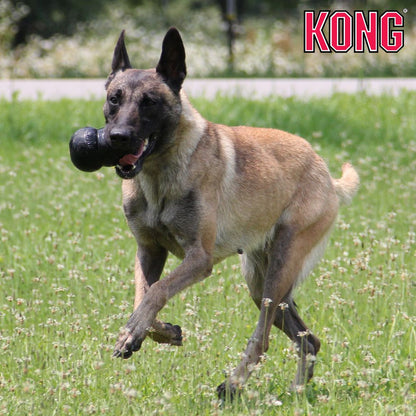 KONG Extreme - Apportierspielzeug Hundespielzeug Leckerlispielzeug Kauspielzeug