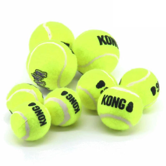 KONG AirDog Squeakair Ball - Apportierspielzeug Tennisball f. Hund mit Quitscher