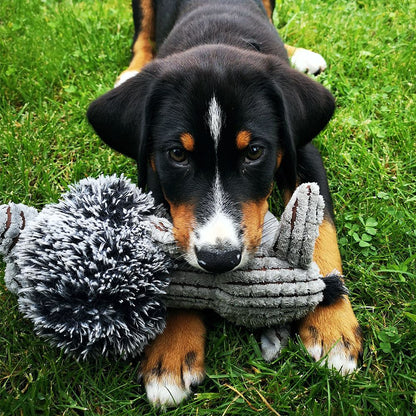 Nobby Plüsch-Hundespielzeug ESEL - 24 cm - Plüschtier Kuscheltier Hund TPR Ball
