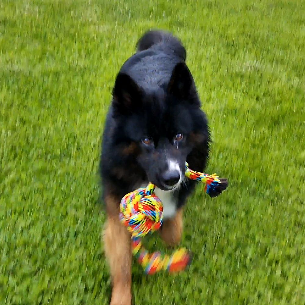 Nobby Spielseil ROPE TOY Knotenseil mit Ball - 55 cm - Zerrspiel Apportierspiel