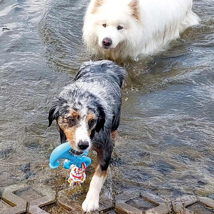 Nobby TPR Wasserspielzeug FLOATING - Anker mit Seil - Apportierspielzeug