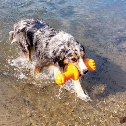 Nobby TPR Wasserspielzeug FLOATING - Boje Robby - Apportierspielzeug