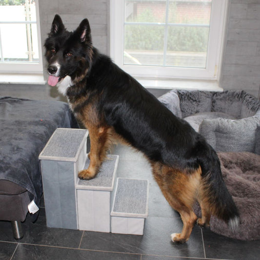 Nobby Hundetreppe SCADA - 44 cm hoch - Tiertreppe für Hunde und Katzen bis 50 kg