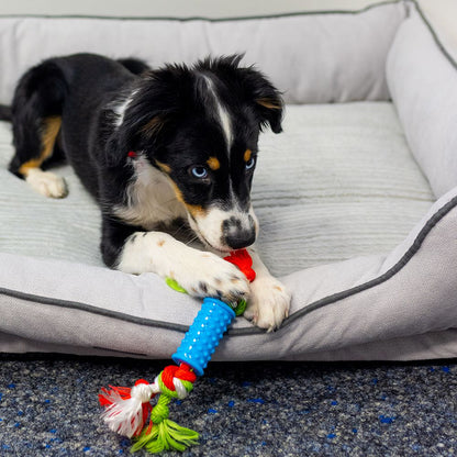 Nobby Puppy-Set - TPR Welpenspielzeug mit Seil/Schweinchen/Tennisball quietscht - Hundespielzeug
