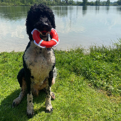 Nobby Wasserspielzeug FLOATING - TPR Rettungsring mit Seil - Apportierspielzeug
