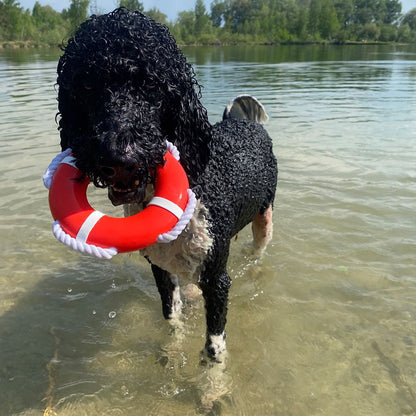 Nobby Wasserspielzeug FLOATING - TPR Rettungsring mit Seil - Apportierspielzeug
