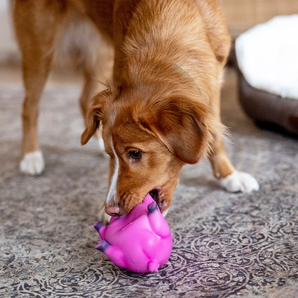 Nobby Latex Hundespielzeug Schwein - 21 cm - grunzt Apportierspielzeug Squeaker