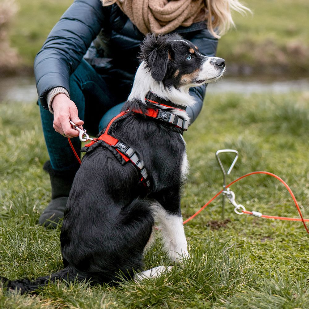 Nobby Anlegespirale mit Seil Anlegepflock Erdanker Hund Sicherung für Unterwegs