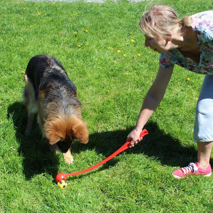 Nobby Ballwerfer - 63 cm - Ballschleuder mit Tennisball - blau/orange - Launcher