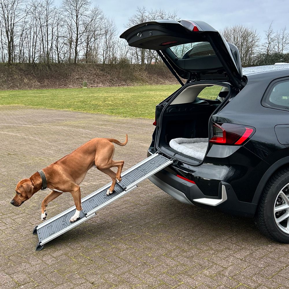 Nobby Aluminium Teleskop-Rampe - bis 90 kg - 158x42 cm - Hunderampe Hundetreppe