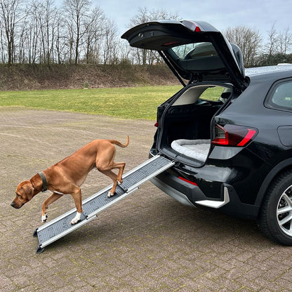 Nobby Aluminium Teleskop-Rampe - bis 90 kg - 158x42 cm - Hunderampe Hundetreppe