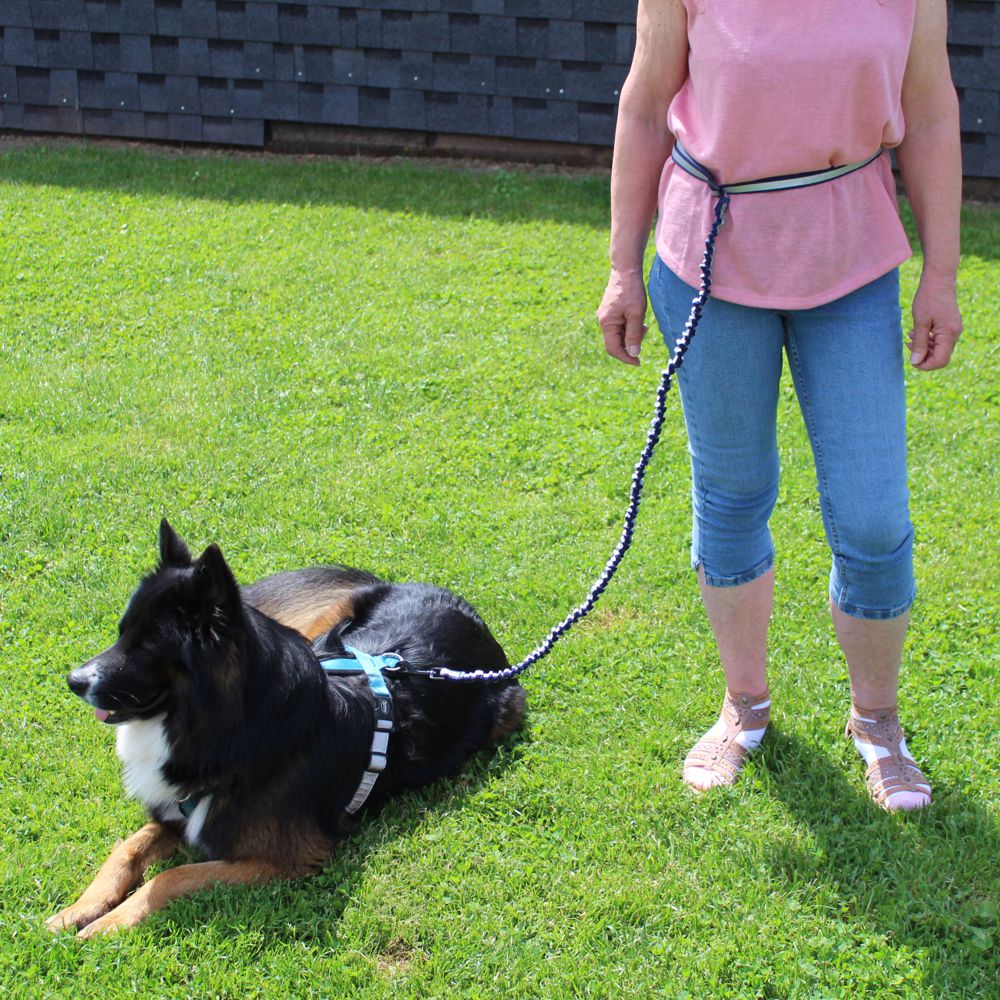 Nobby Joggingleine ELASTIC mit Hüftgurt - Walkingleine Sportleine elastisch