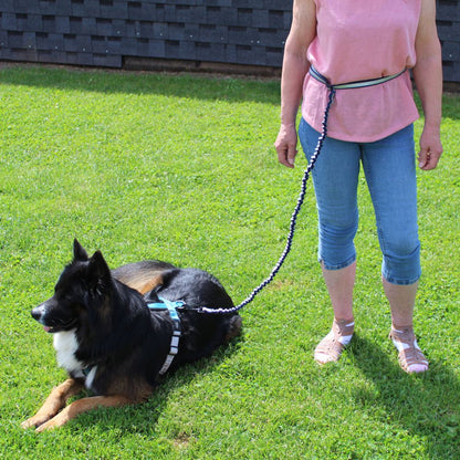 Nobby Joggingleine ELASTIC mit Hüftgurt - Walkingleine Sportleine elastisch
