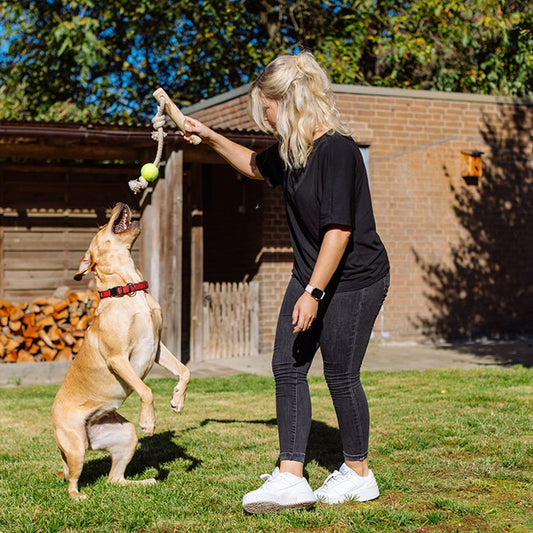 Nobby Kaffeeholz mit Hanfseil und Ball - S/M/L - Kauspielzeug Apportierspielzeug