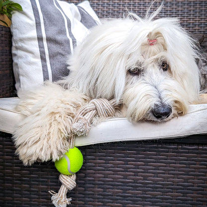 Nobby Kaffeeholz mit Hanfseil und Ball - S/M/L - Kauspielzeug Apportierspielzeug