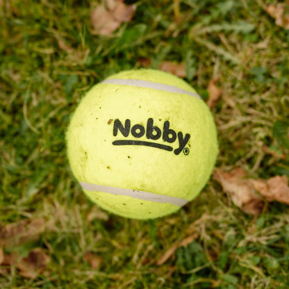 Nobby Tennisball - gelb - Apportierspiel Ball für Hund mit und ohne Quietschie