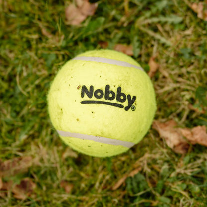 Nobby Tennisball - bunt - Apportierspiel Ball für Hund mit und ohne Quietschie