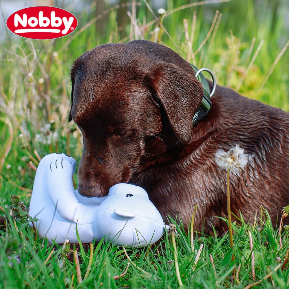 Nobby Wasserspielzeug FLOATING - schwimmt - Apportierspielzeug mit Quietscher