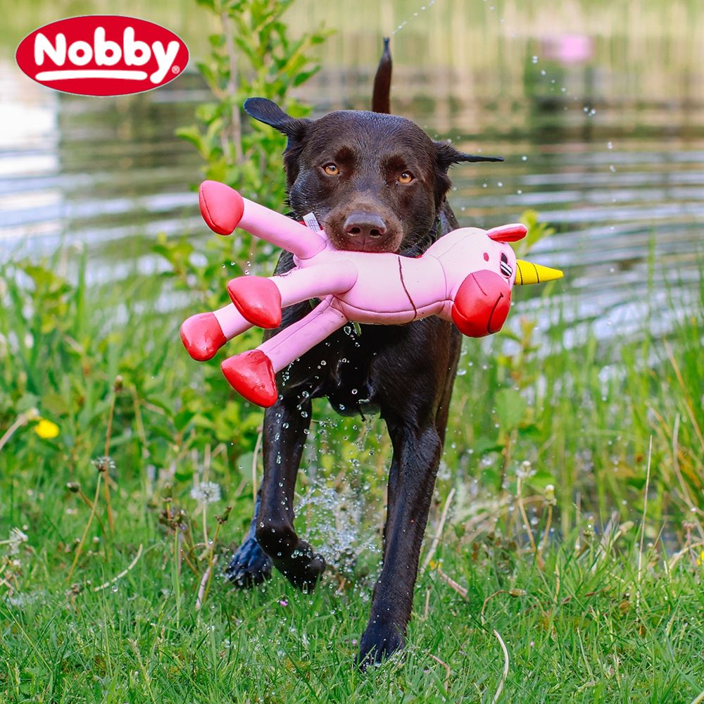 Nobby Wasserspielzeug FLOATING - schwimmt - Apportierspielzeug mit Quietscher