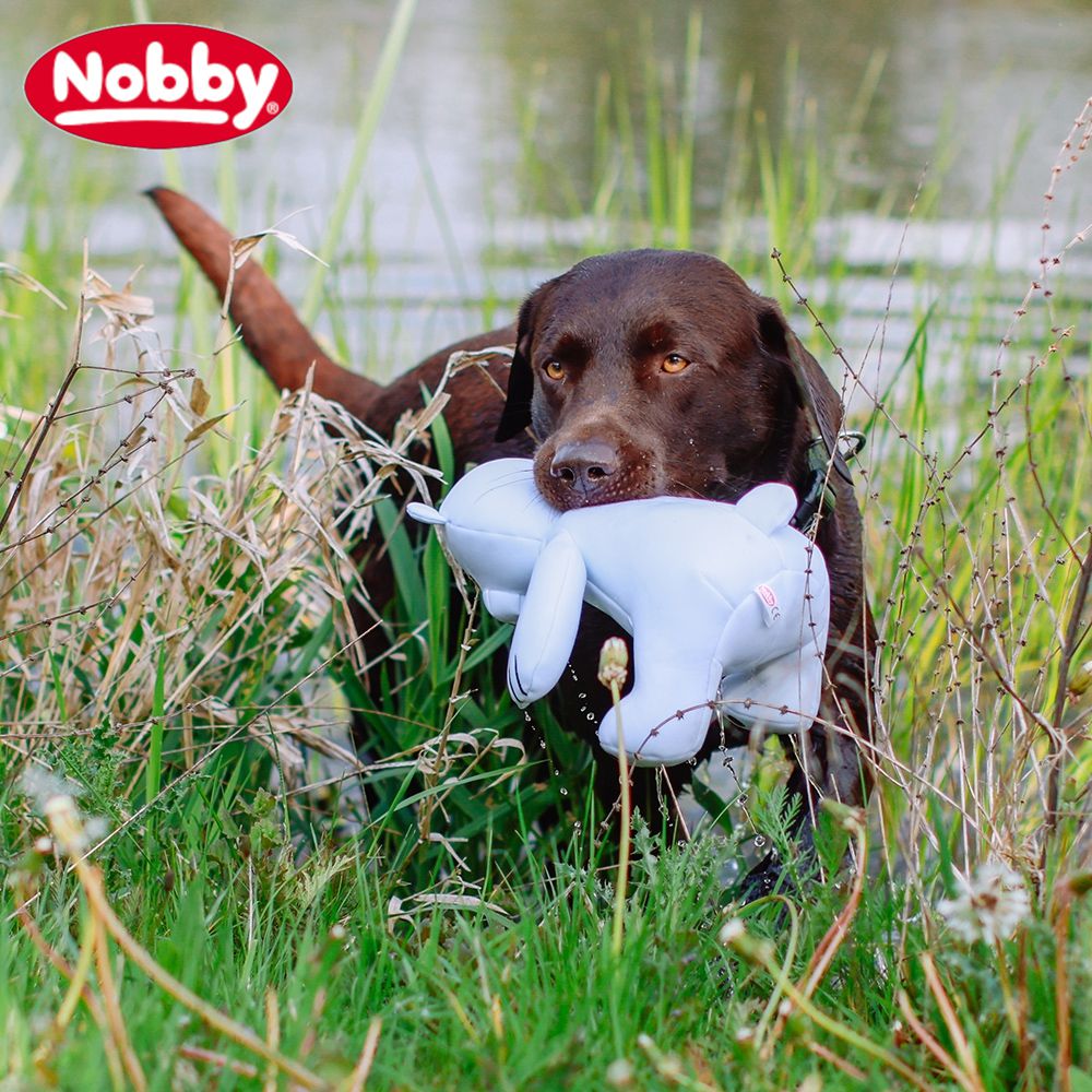 Nobby Wasserspielzeug FLOATING - schwimmt - Apportierspielzeug mit Quietscher