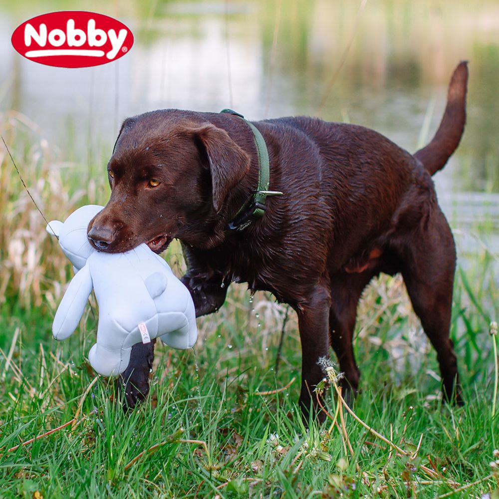 Nobby Wasserspielzeug FLOATING - schwimmt - Apportierspielzeug mit Quietscher