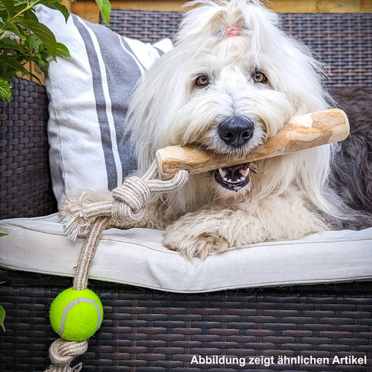 Nobby Kaffeeholz-Kaustab - S/M/L - Kauspielzeug Kauknochen Apportierspielzeug