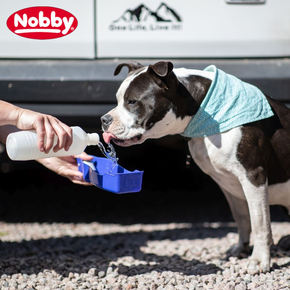 Nobby Reise-Trinkwasserflasche - Wassernapf Reisenapf Wasservorrat unterwegs