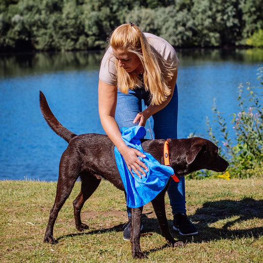 Nobby Handtuch SPEED-DRY COMFORT 66 x 43 cm - Kühltuch - für Hunde - 6 Farben