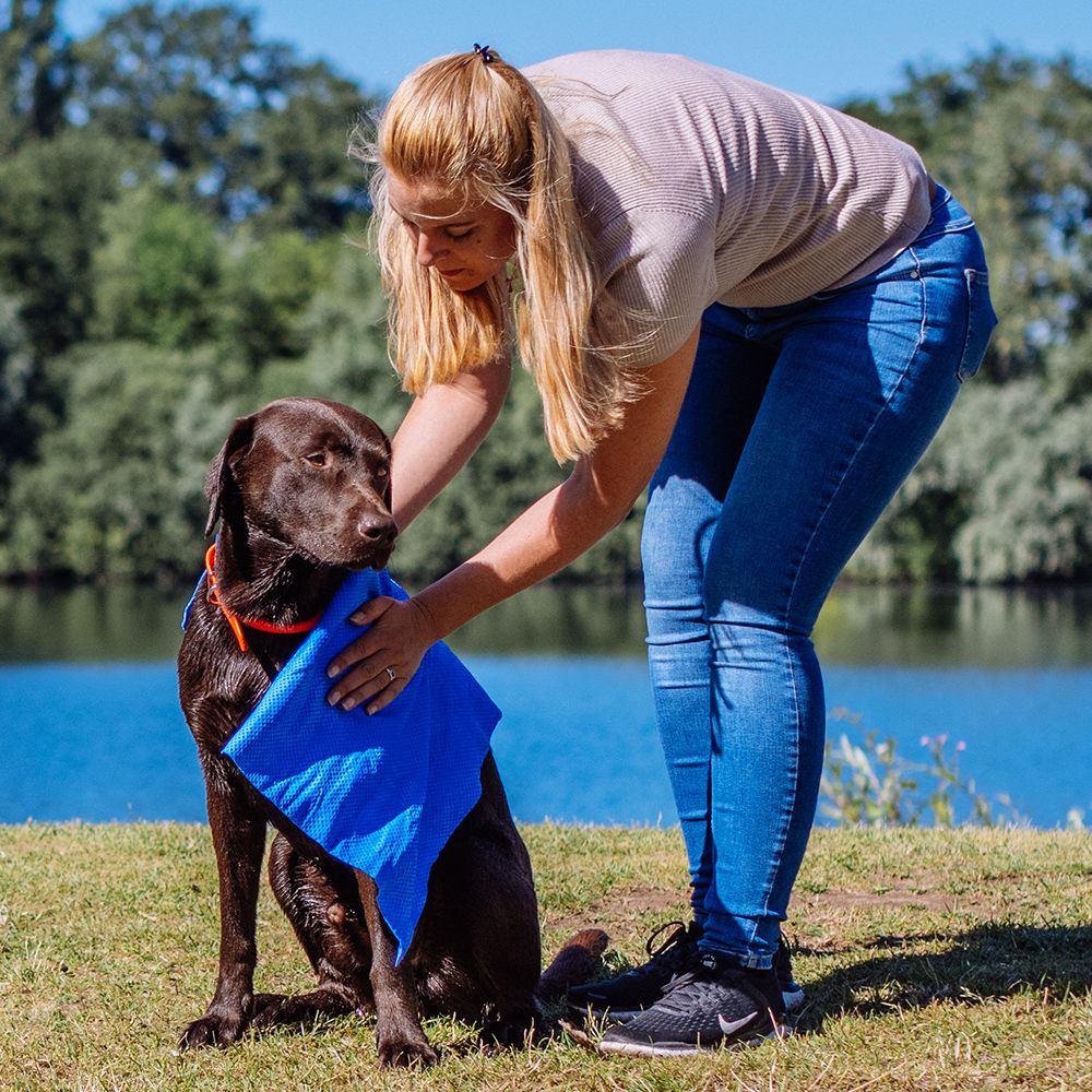 Nobby Handtuch SPEED-DRY COMFORT 66 x 43 cm - Kühltuch - für Hunde - 6 Farben