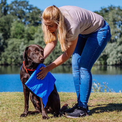 Nobby Handtuch SPEED-DRY COMFORT 66 x 43 cm - Kühltuch - für Hunde - 6 Farben