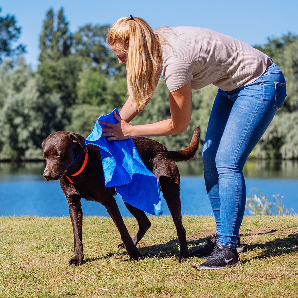 Nobby Handtuch SPEED-DRY COMFORT 66 x 43 cm - Kühltuch - für Hunde - 6 Farben