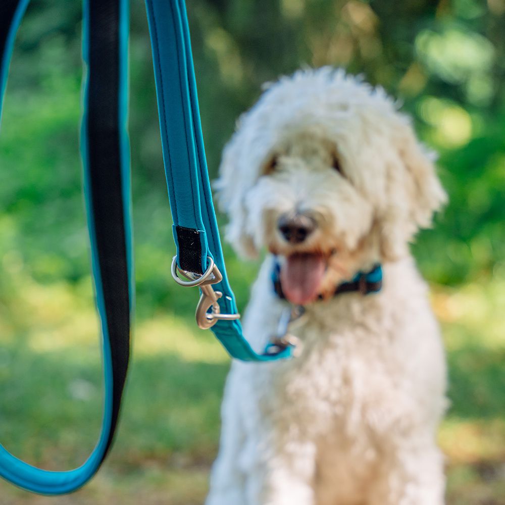 Nobby Führleine MESH PRENO - 200 cm - XS-S/M-L/L-XL - Nylon Hundeleine - 2 m