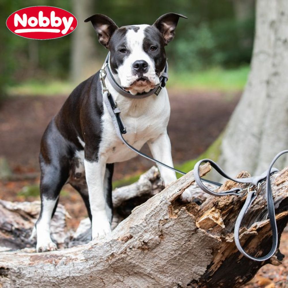 Nobby Leder Führleine VELOURS 14 + 18 mm breit Nappaleder Hundeleine Leine Hund